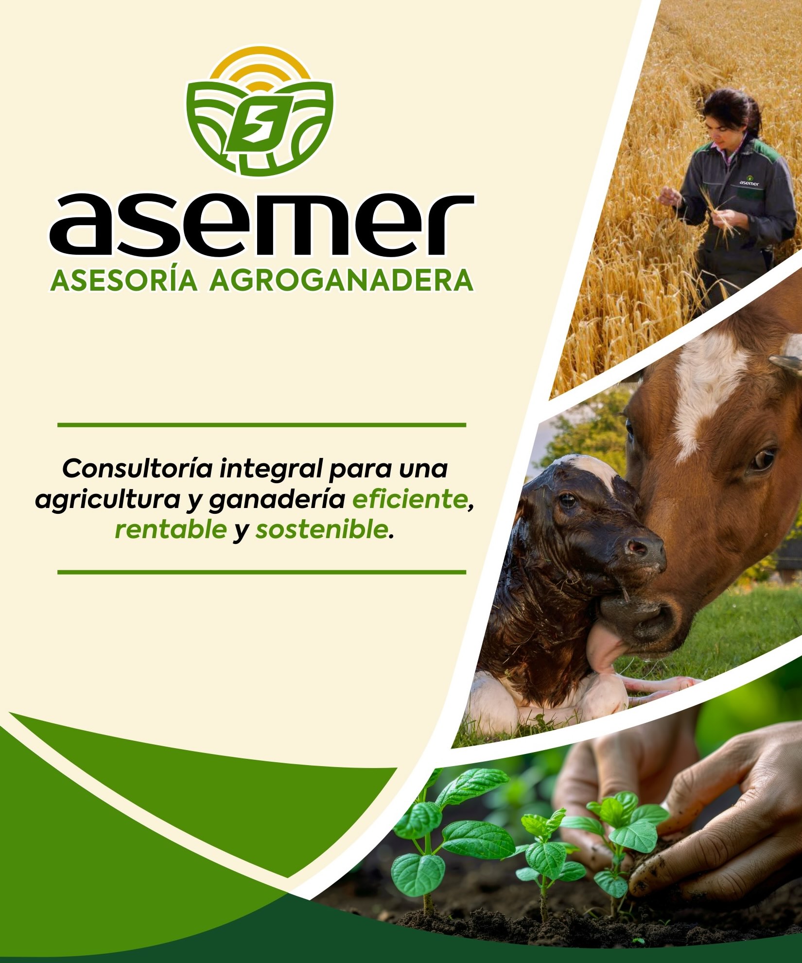 asemer_asesoria_agrogandera_mercoguadiana