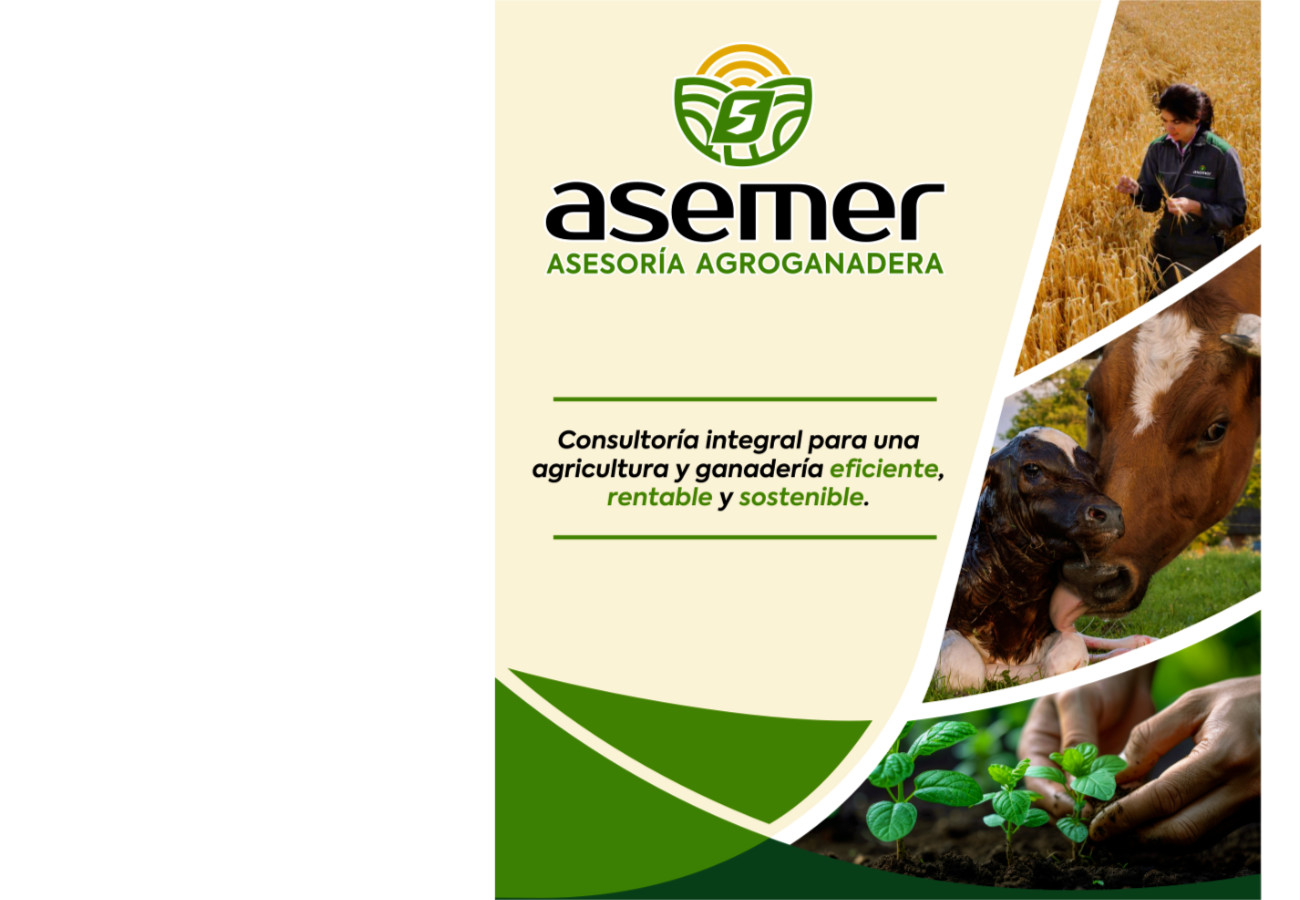 banner_asemer_principal.jpg